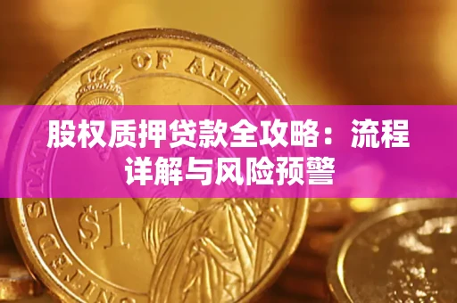 武汉股权质押贷款全攻略：流程详解与风险预警