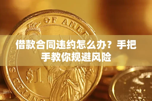 武汉借款合同违约怎么办？手把手教你规避风险