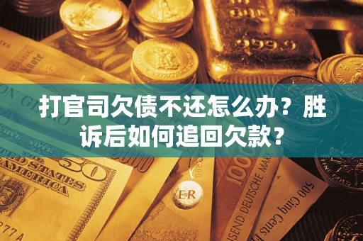武汉打官司欠债不还怎么办？胜诉后如何追回欠款？