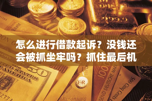 武汉怎么进行借款起诉？没钱还会被抓坐牢吗？抓住最后机会！