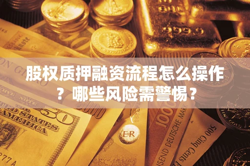 武汉股权质押融资流程怎么操作？哪些风险需警惕？