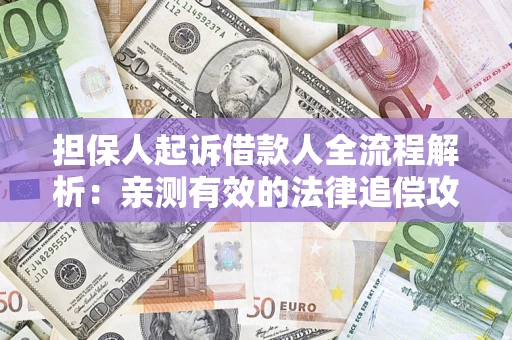 武汉担保人起诉借款人全流程解析：亲测有效的法律追偿攻略
