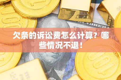 武汉欠条的诉讼费怎么计算？哪些情况不退！