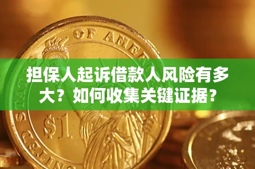 武汉担保人起诉借款人风险有多大？如何收集关键证据？