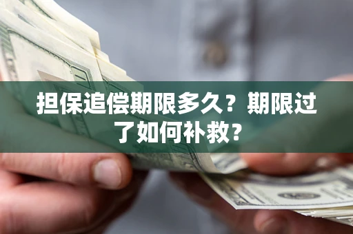 武汉担保追偿期限多久？期限过了如何补救？