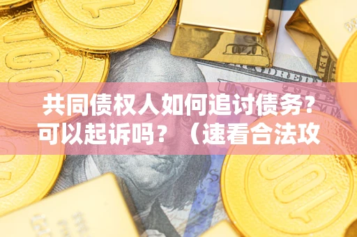 武汉共同债权人如何追讨债务？可以起诉吗？（速看合法攻略）