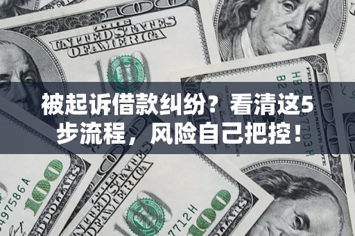武汉被起诉借款纠纷？看清这5步流程，风险自己把控！
