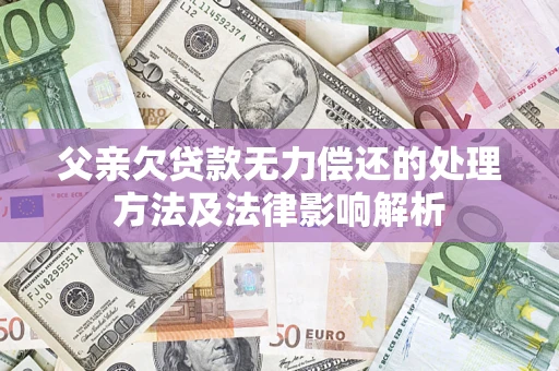 武汉父亲欠贷款无力偿还的处理方法及法律影响解析