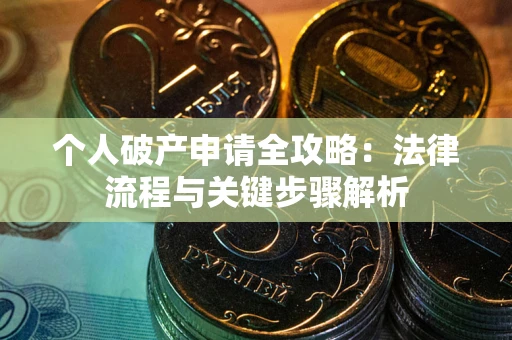 武汉个人破产申请全攻略：法律流程与关键步骤解析