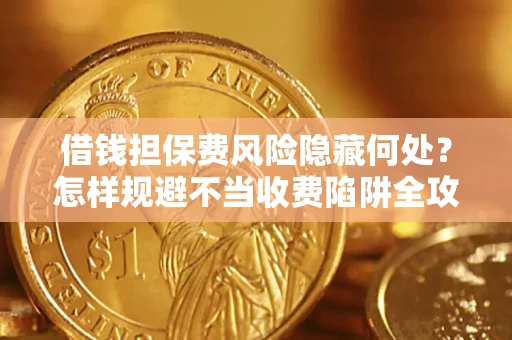 武汉借钱担保费风险隐藏何处？怎样规避不当收费陷阱全攻略！