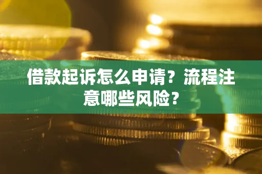 武汉借款起诉怎么申请？流程注意哪些风险？