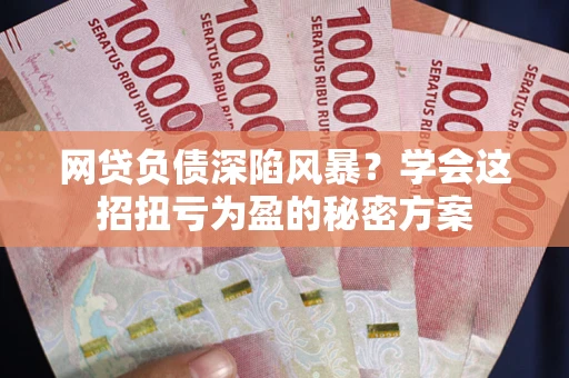 武汉网贷负债深陷风暴？学会这招扭亏为盈的秘密方案